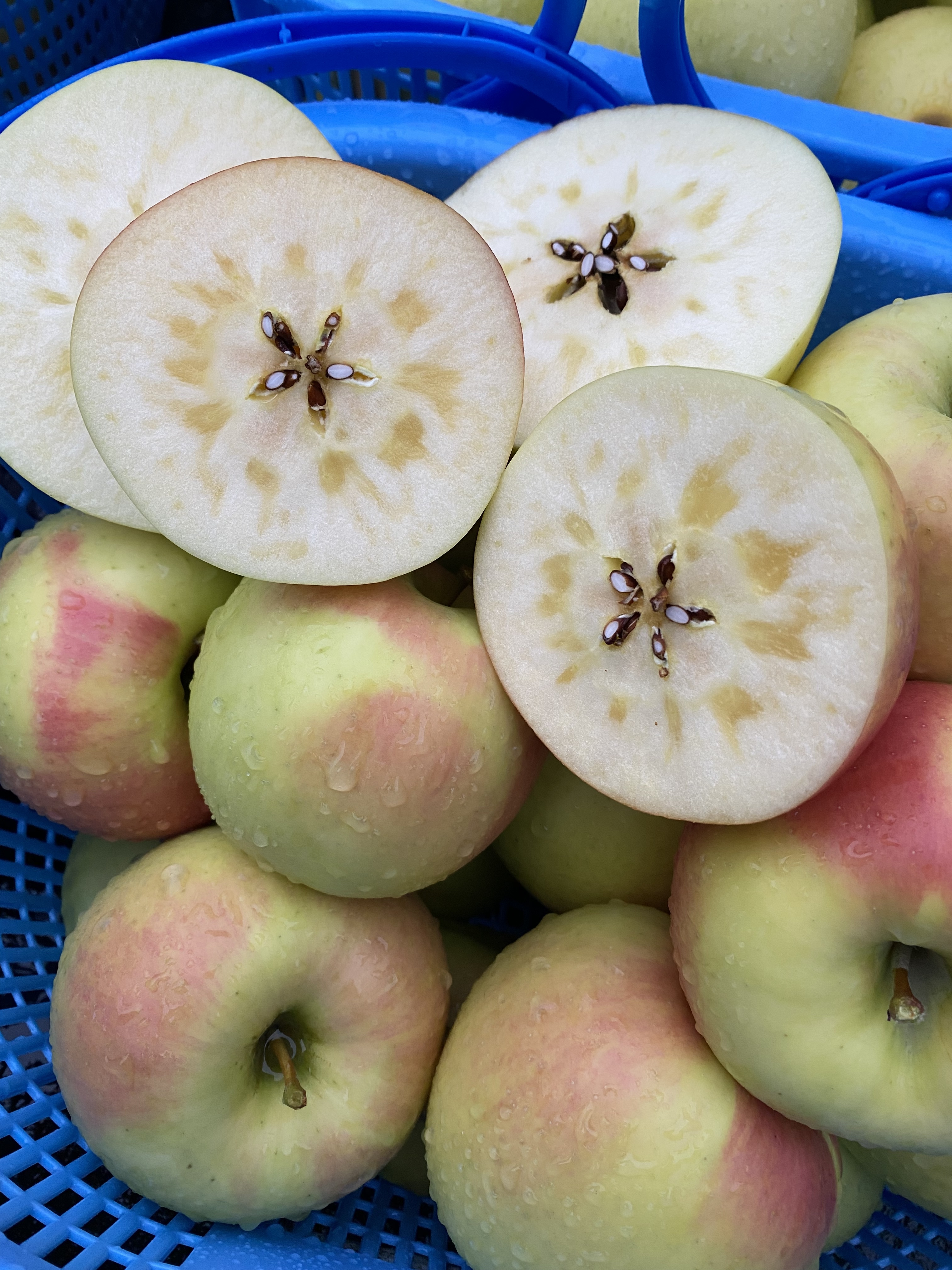 マツコの知らない世界で紹介【名月】青森県産｜りんごの商品詳細