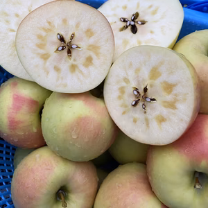 マツコの知らない世界で紹介【名月】青森県産