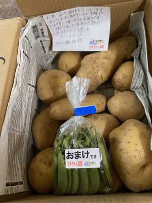 みんなの投稿の画像