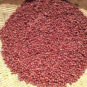 農薬および化学肥料不使用の小豆と黒豆　令和4年産
