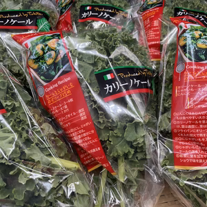 栄養満点！美味しいカリーノケール