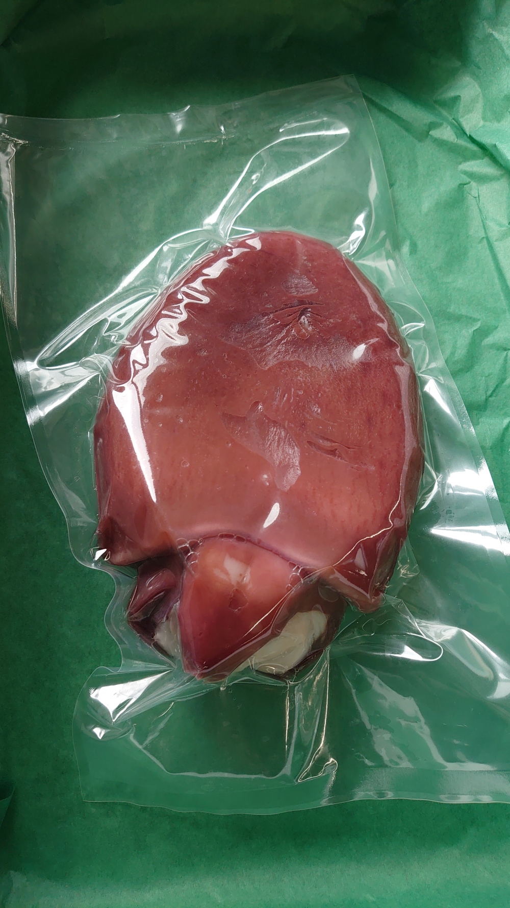 北海道小樽産 茹でタコ頭 1 8 冷凍 農家漁師から産地直送の通販 ポケットマルシェ