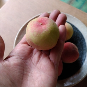 小さくても美味しい　桃