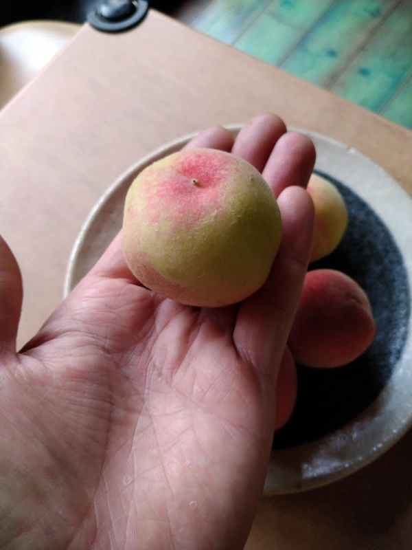 小さくても美味しい　桃