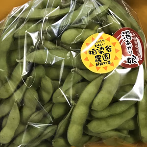 “湯あがり娘“ 枝豆　朝採り　1キロ袋入れ