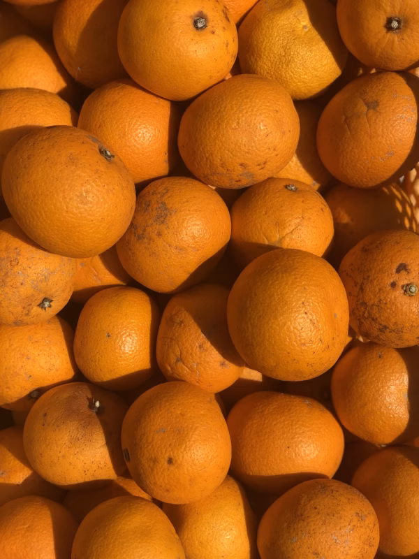 訳ありはっさく4kg（1個約72円）残りわずか【小豆島産】