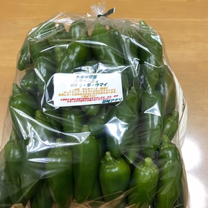 【国産】 ハラペーニョ (2品種比較セット) 