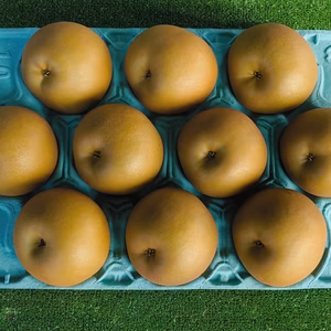 甘太　5キロ(10〜12玉）3キロ（6〜7玉）茨城県産