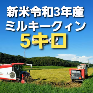 令和3年産新米ミルキークイーン5キロ白米