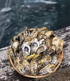 徳栄丸の糸島カキ　（殻付き牡蠣）
