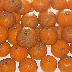 【訳あり】完熟みかん無農薬栽培（糖度15度）S/M/L混合10kg