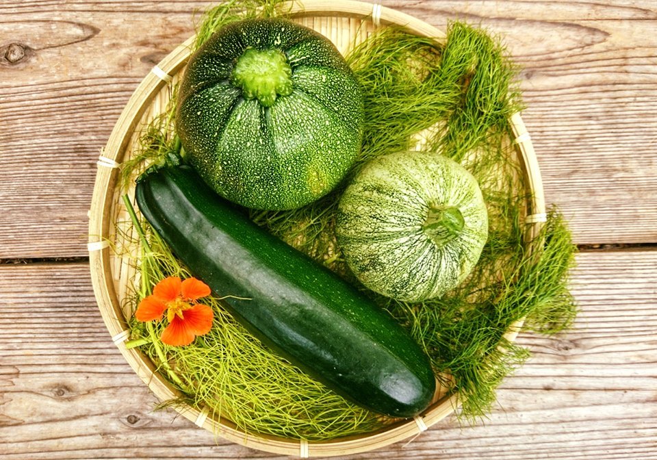 珍しいズッキーニセット3種three Heirloom Zucchini Set 農家漁師から産地直送の通販 ポケットマルシェ