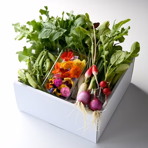 おウチでレストラン気分！金沢のおまかせ野菜詰め合わせ【6-7品目】