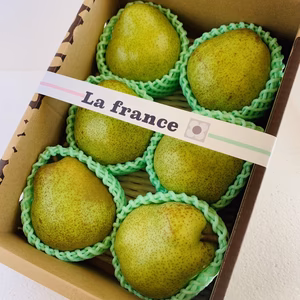 とろける口福‼️山形特産ラフランス【2キロ3L】