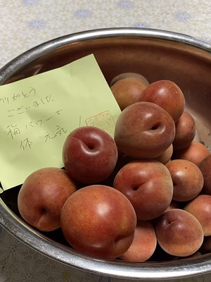 みんなの投稿の画像