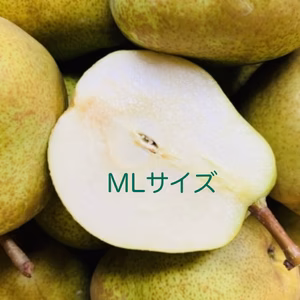 【11月発送】山形特産ラフランス【食べきりサイズ3キロ】