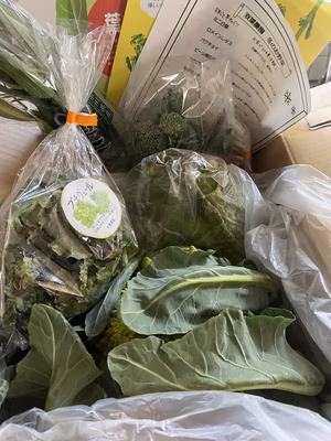 みんなの投稿の画像