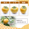 【訳あり！お買い得！】福岡県産　富有柿の訳ありご自宅用　12玉～14玉