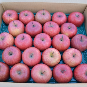 青森県黒石産　雪中貯蔵サンふじ小玉家庭用5kg