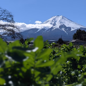 BioCresson Box【今夜はみんなでクレソン鍋ボックス】