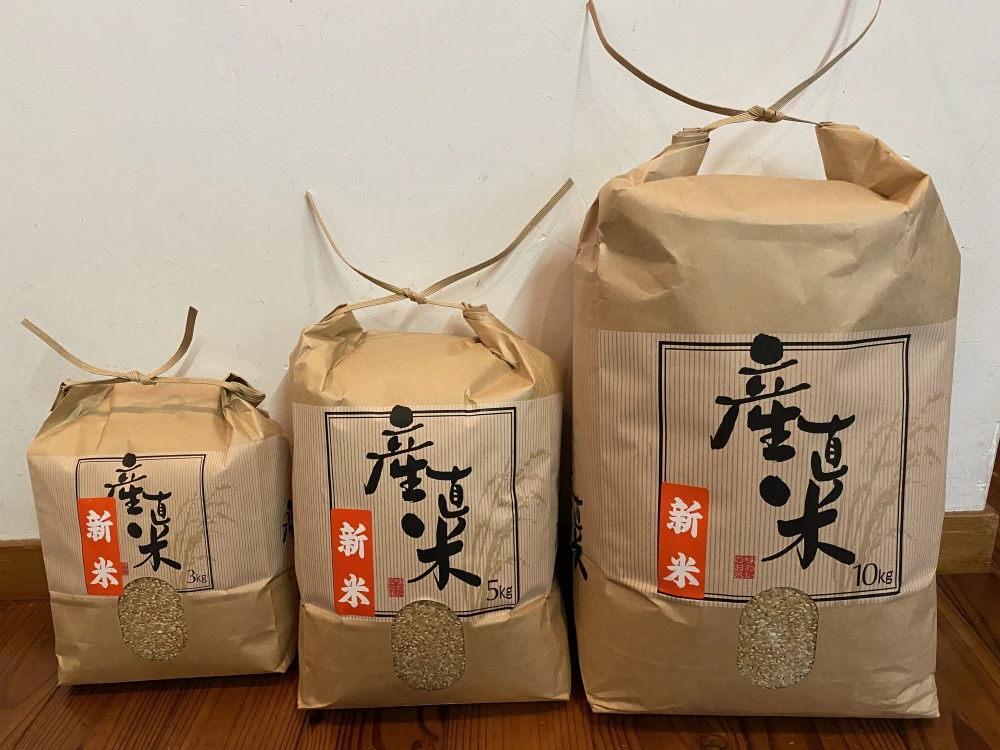 令和5年度産＊新米＊豊コシヒカリ＊玄米＊坂本農園｜米・穀類の商品