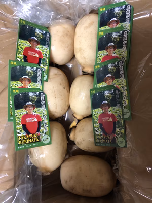 みんなの投稿の画像