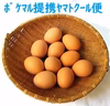 いが野の農園【平飼い赤たまご】10個～60個 ※クール便