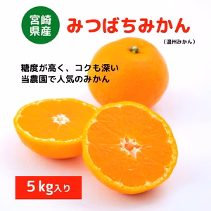 甘くとろける深いコク！宮崎県産「みつばちみかん」(５kg)
