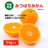 甘くとろける深いコク！宮崎県産「みつばちみかん」(５kg)