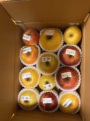 みんなの投稿の画像