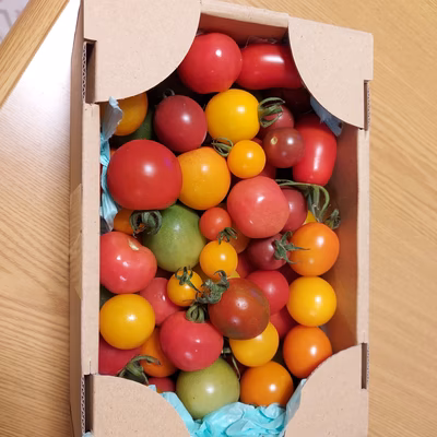 みんなの投稿の画像