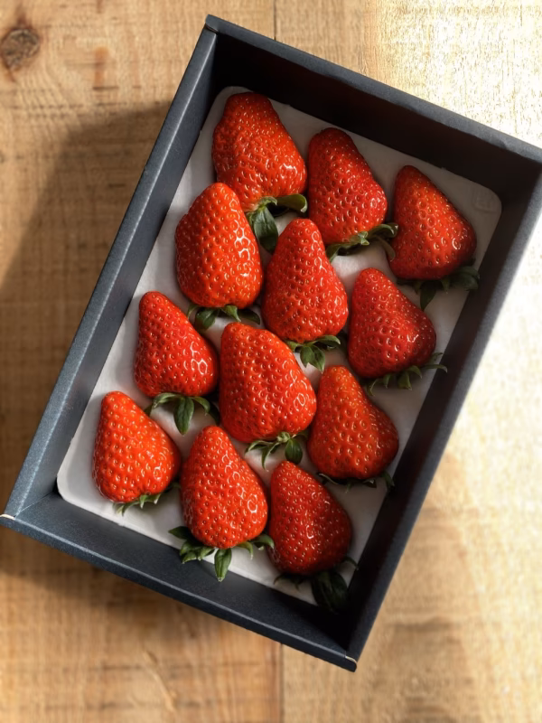 「喜んでもらえるおすすめギフト」完熟大粒イチゴ