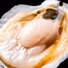 《数量限定20件!!》山六水産の２年貝【３kg】ヘラ付
