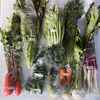 常温で発送　野菜10品セット　100サイズ　金時人参　水菜　壬生菜　日野菜　等
