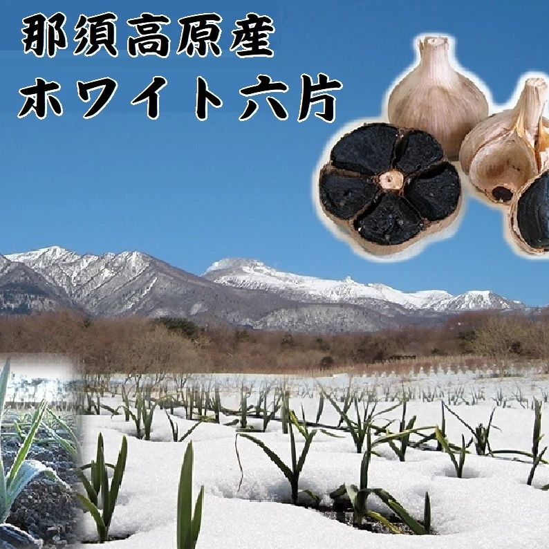 小粒特価　那須高原産ホワイト六片 黒にんにく２５０g×２袋