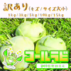 【訳あり】ヨーロッパ野菜『コールラビ』セット