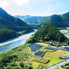 農薬不使用・化学肥料不使用のにんにく1kg！清流古座川に育まれた土地で作る野菜