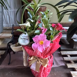 ふじまきちゃんちゃん