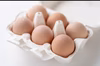 祝・三ツ星タマリエ検定合格！　タマゴ問題付き名古屋コーチン卵36個入‼