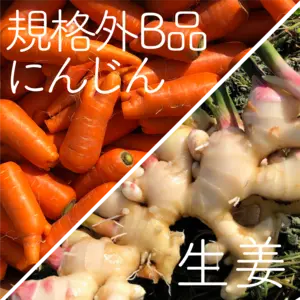 【季節のお野菜】規格外B品にんじんと生姜のセット