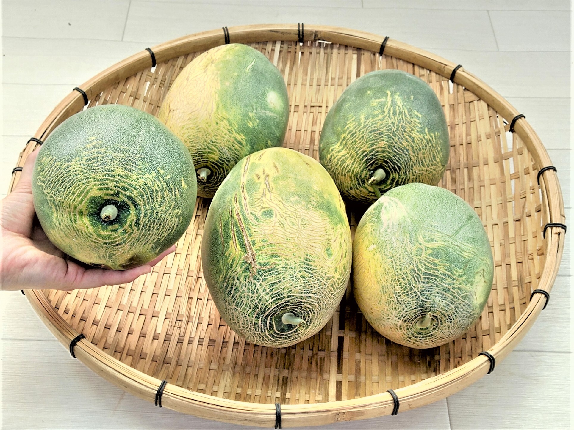 ☆農薬不使用☆採れたて新鮮！マクワウリ☆無農薬 約3kg 通販