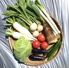 大澤農園お勧めの新鮮野菜セット(15種類以上)