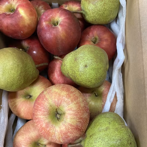 1度で3度美味い！秋果実3種種盛り❗️ラフランス弘前ふじ紅玉　合計5キロ以上