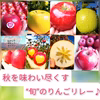 【樹熟りんごで口福体験を♪】旬のりんごリレーBOX