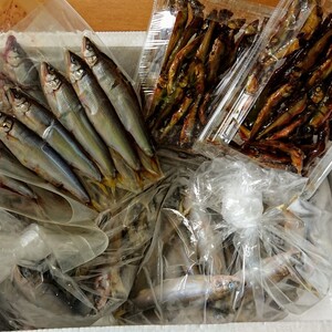 ★冷凍★　琵琶湖産【天然】小鮎　たっぷりセット！ 稚鮎・子鮎