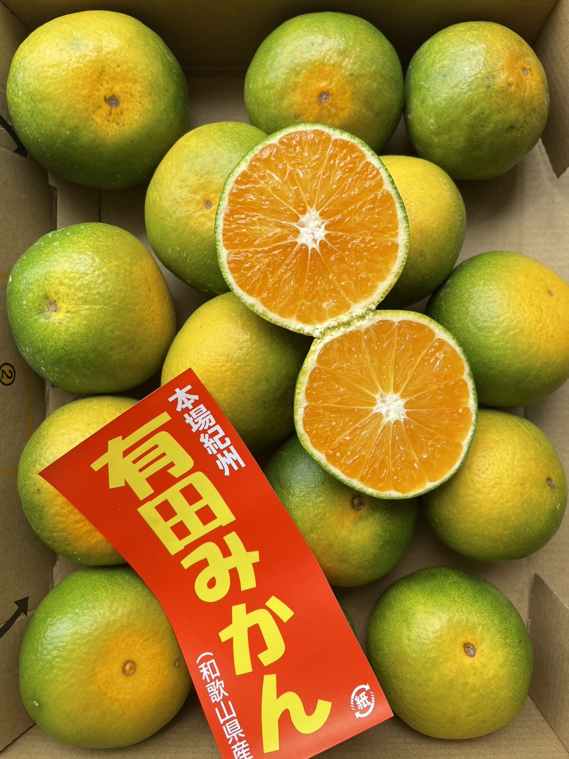 専用♥お年玉超特価❤みかん♥もちぷに♥規格外…大きなブランケット☆Ｗボアケット⭐ ロケットふうせん5コ入 風船 おうち遊び おもちゃ 雑玩具 469-051 6個