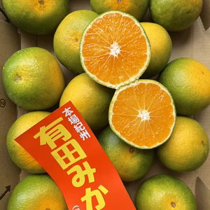 初物☆和歌山県産有田みかん☆ 極早生〈YN26〉