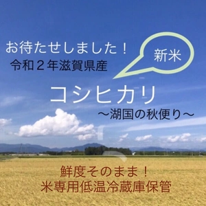 米専用低温冷蔵庫保管　滋賀県産コシヒカリ　ほんのり甘い湖