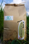 無農薬あきたこまち オーガニック玄米　2kg