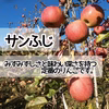 あなたはどっちが好き？スーパームーンりんご＆サンふじ・訳あり(小粒)